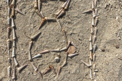 image1-1