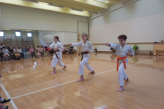 karate1