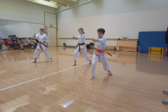 karate2