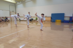 karate3