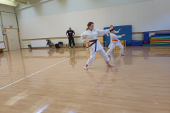 karate5